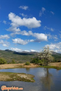 Greece, Thrace, Evros. Dadia forest, natural pond