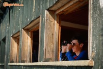 Greece, Thrace, Evros. Dadia forest, reserve's bird observation post