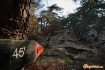 Greece, Thrace, Evros. Dadia forest, path to the bird hide (observatory)