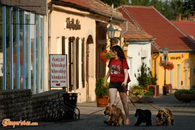 Hungary, Tokaj town, the main pedestrian and shooping street (Rakoczi ut)