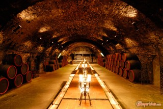 Hungary, Tokaj town, Rakoczi Pince wine cellar