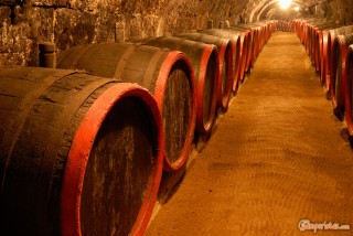 Hungary, Tokaj town, Rakoczi Pince wine cellar