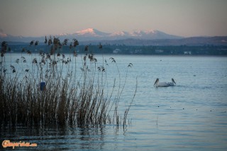 Greece, Mavrochori