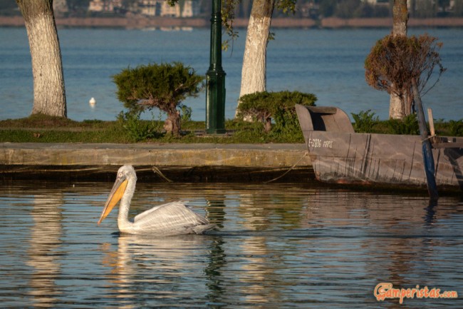 Greece, Mavrochori