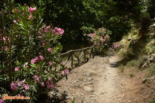 Crete, Agia Irini