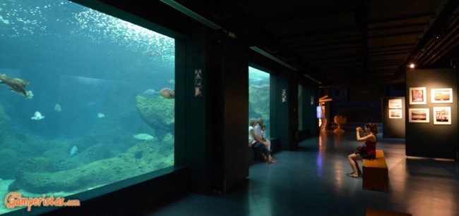 Crete, Cretaquarium