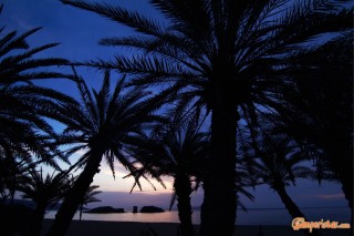 GREECE : Eastern Crete Vai beach and palm trees