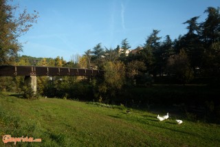 Italy, Riolo Terme