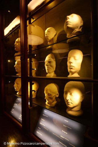 Nella biblioteca della galleria ci sono studi scientifici sulle caratteristiche della testa delle persone...